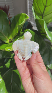 Moonstone Turtle - Pick Your Own