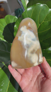 Orca Agate Freeform