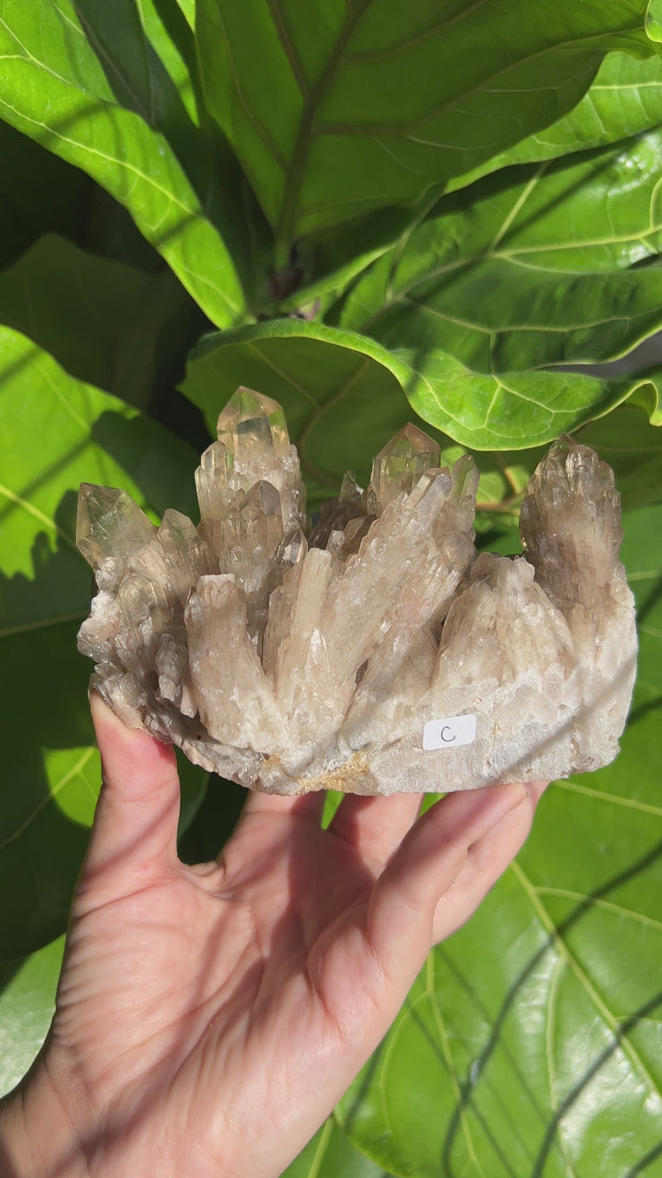 XL Citrine Cluster C