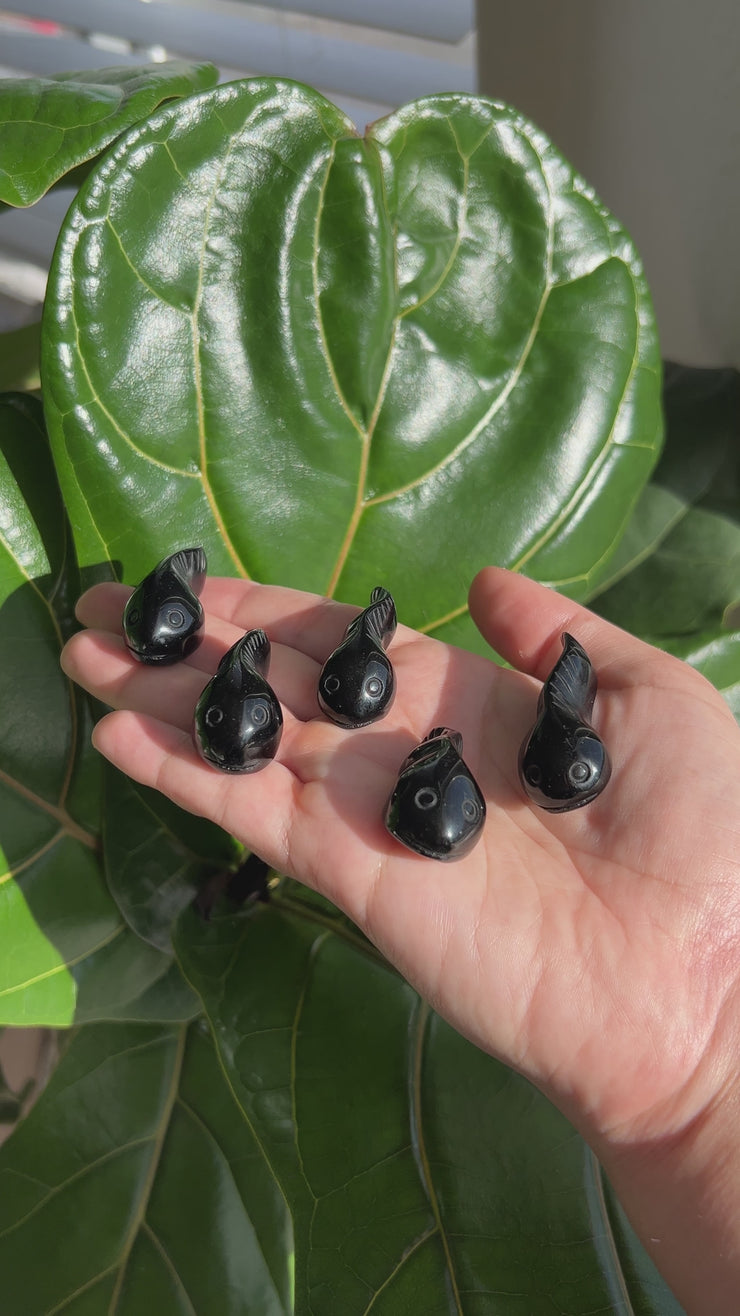 Mini Obsidian Tadpole