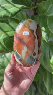 Polychrome Jasper Freeform