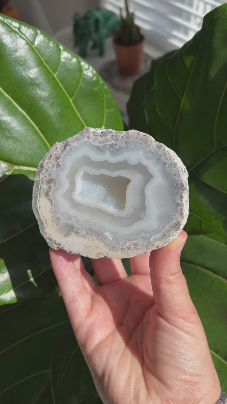 Trancas Agate Geode - Pick Your Own