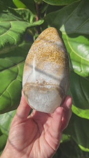 Ocean Jasper Freeform