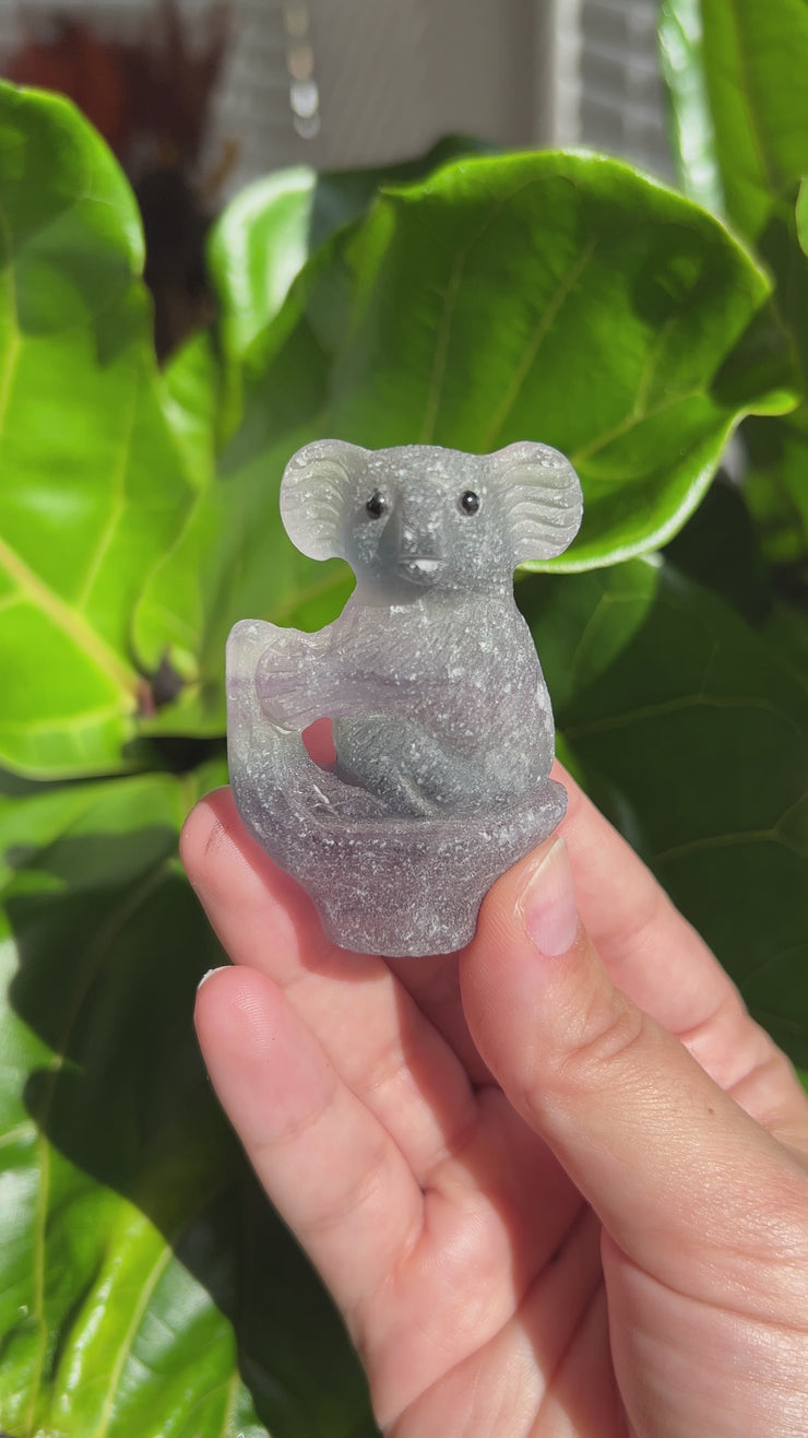 Fluorite Koala