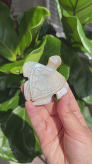 Moonstone Turtle - Pick Your Own