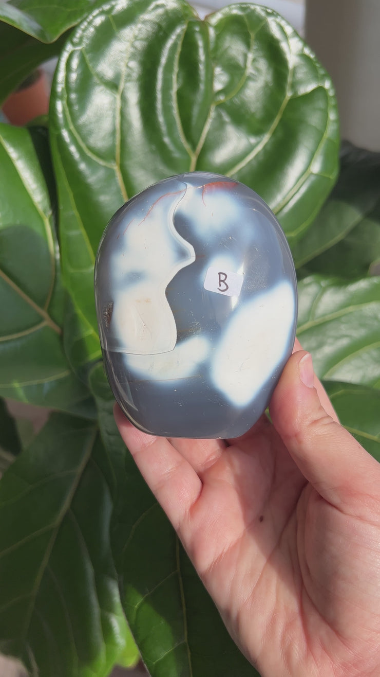 Orca Agate Freeform - Pick Your Own