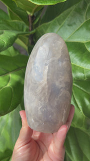 Blue Rose Quartz Freeform