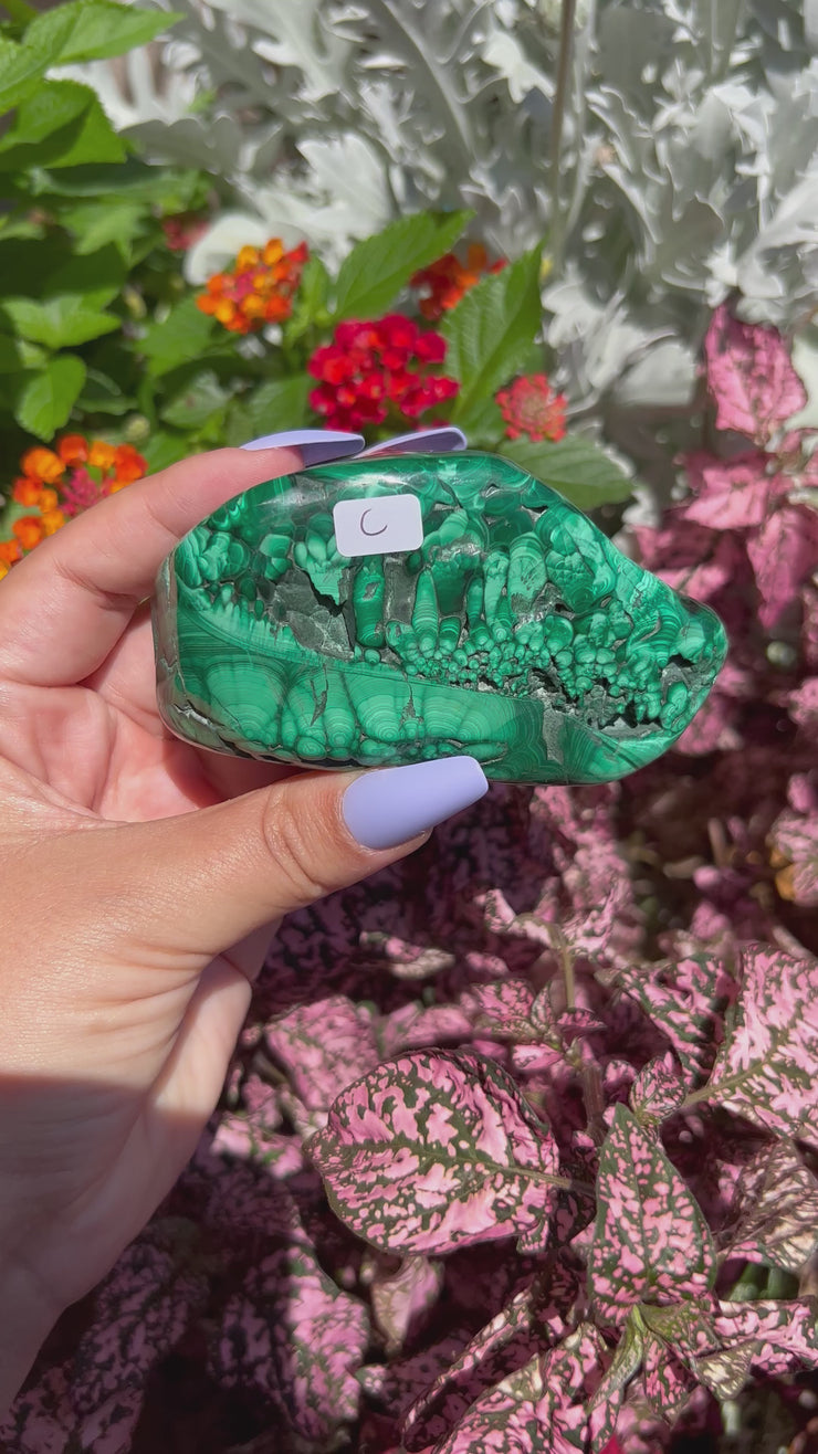 Malachite Freeform - Pick Your Own