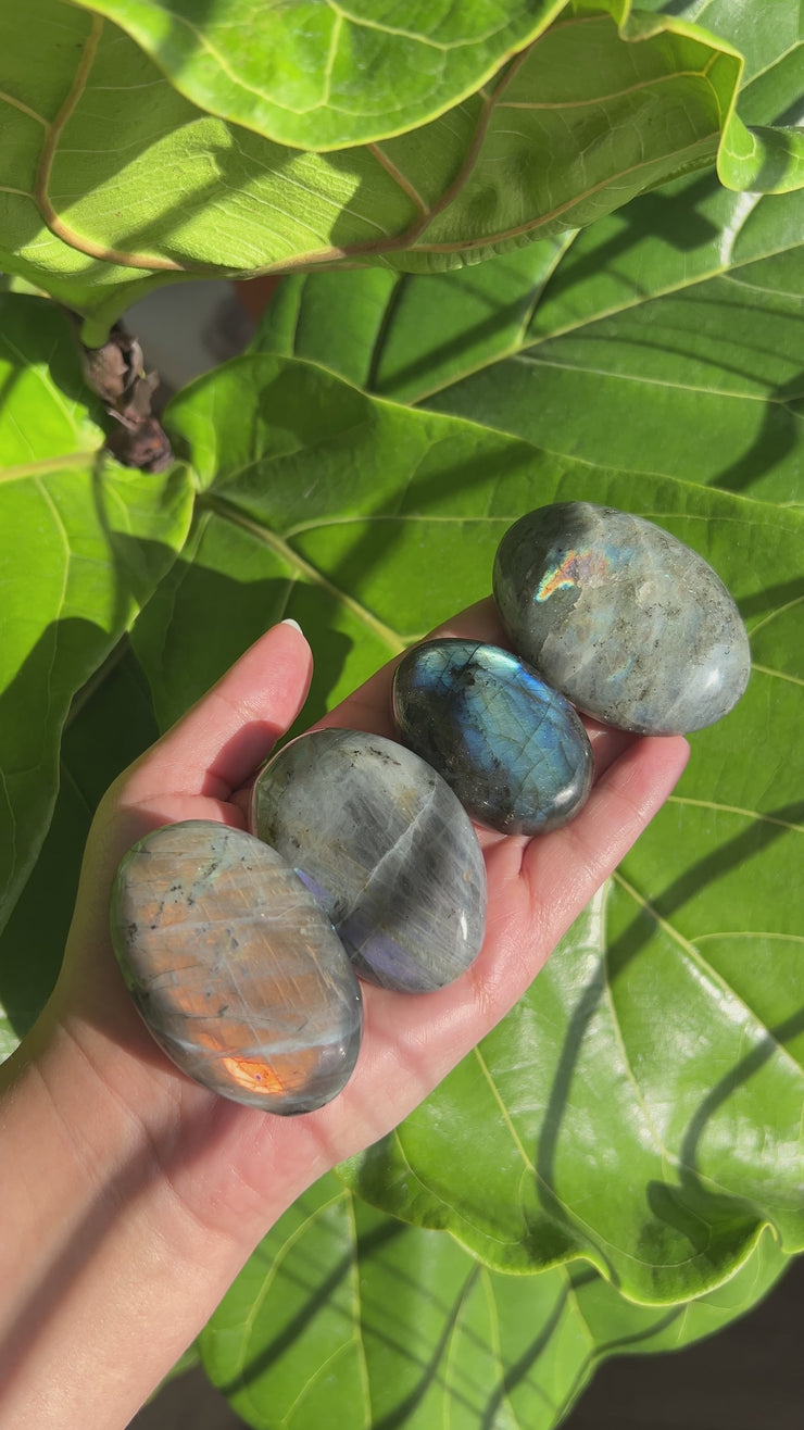 Labradorite Palmstone - Pick Your Own