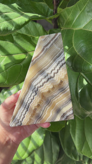 Zebra Onyx Bookends