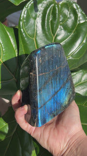 Blue Labradorite Freeform - Pick your own