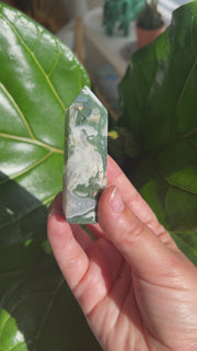 Moss Agate DT / Tower