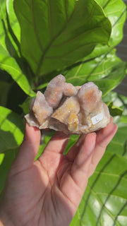 Sugary Spirit Quartz Cluster - Pick Your Own