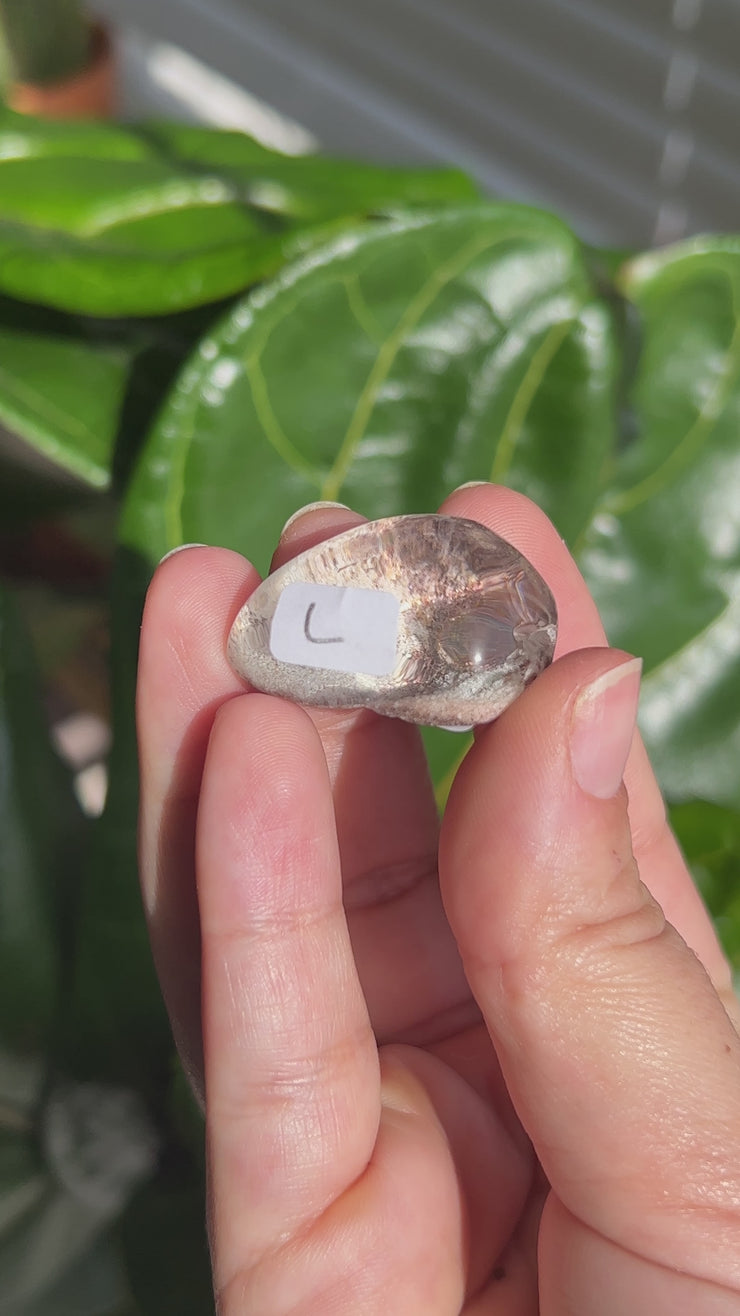 Garden Quartz Lenses - Small - Pick Your Own