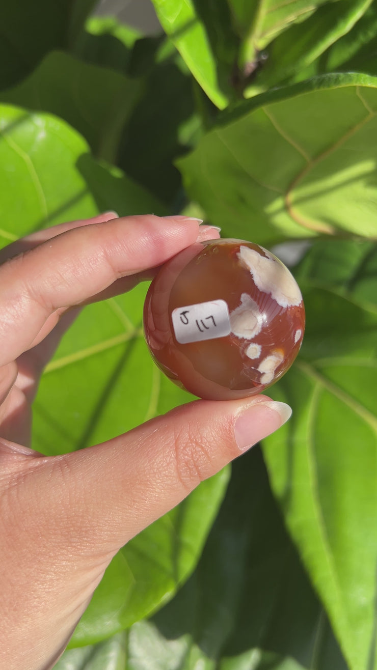 Carnelian Flower Agate Sphere - Pick Your Own