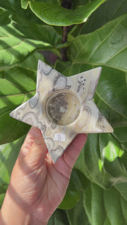 Zebra Jasper Star Candle Holder