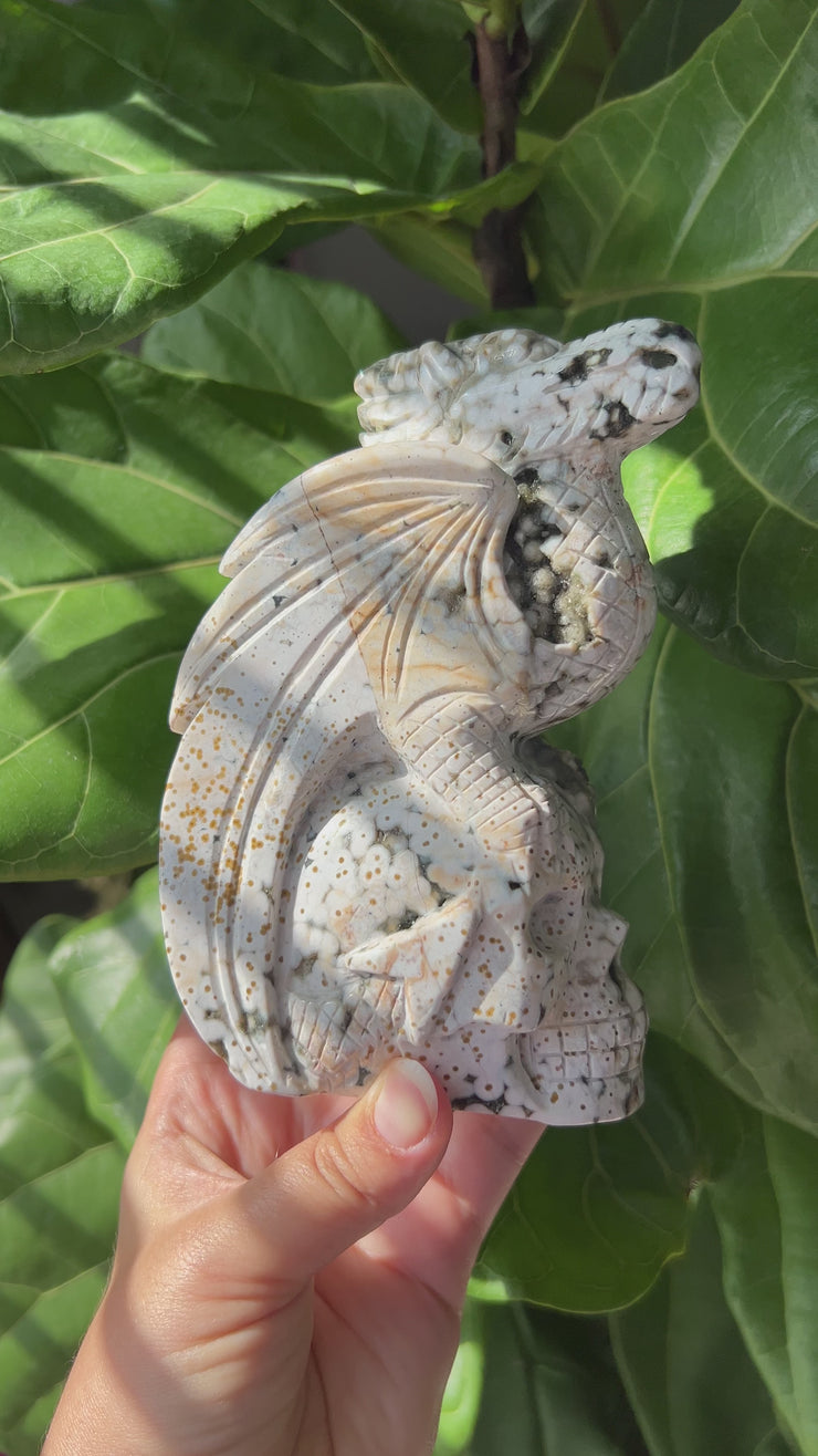 Ocean Jasper Dragon on Skull