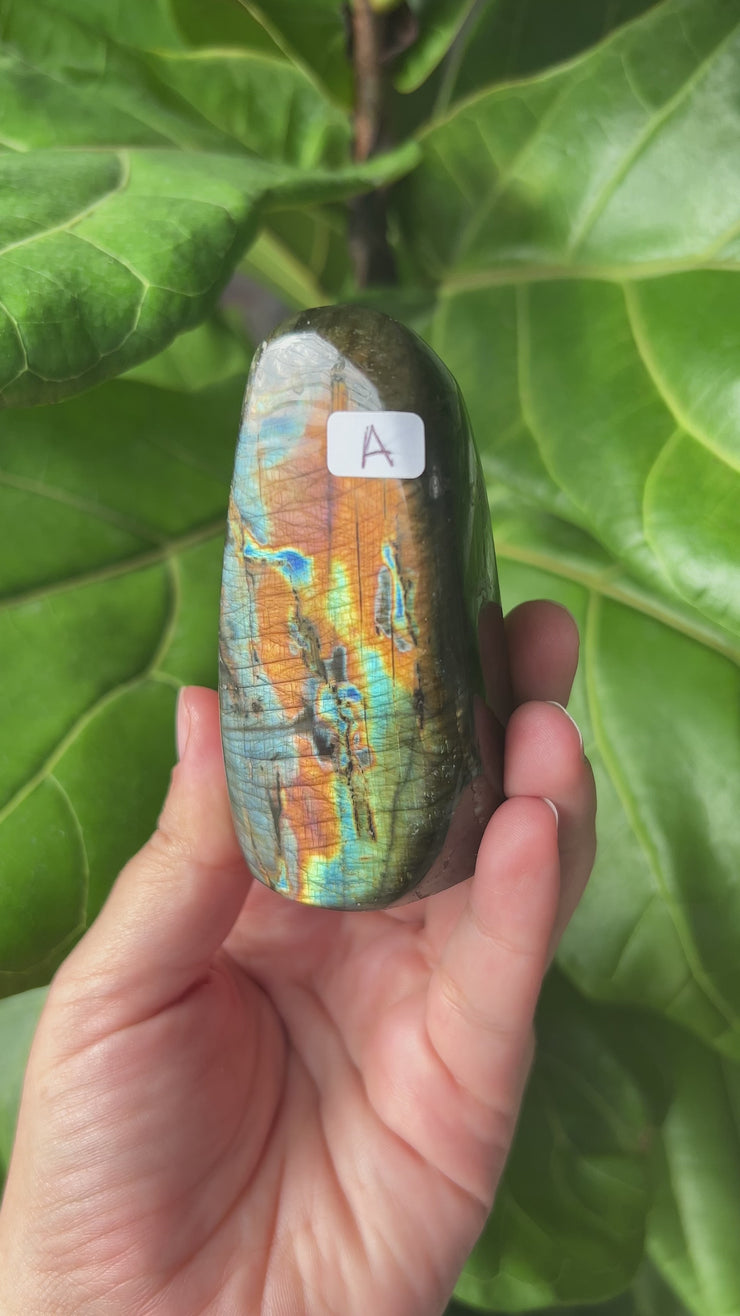 Labradorite Freeform - Pick Your Own