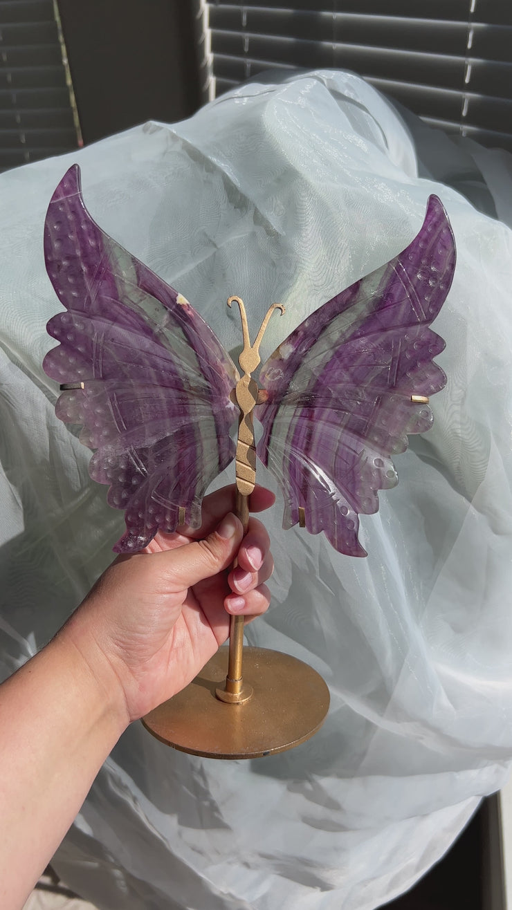 Fluorite Butterfly Wing Pair