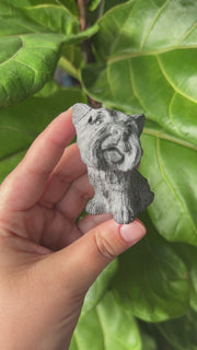 Obsidian Carving - Pick Your Own