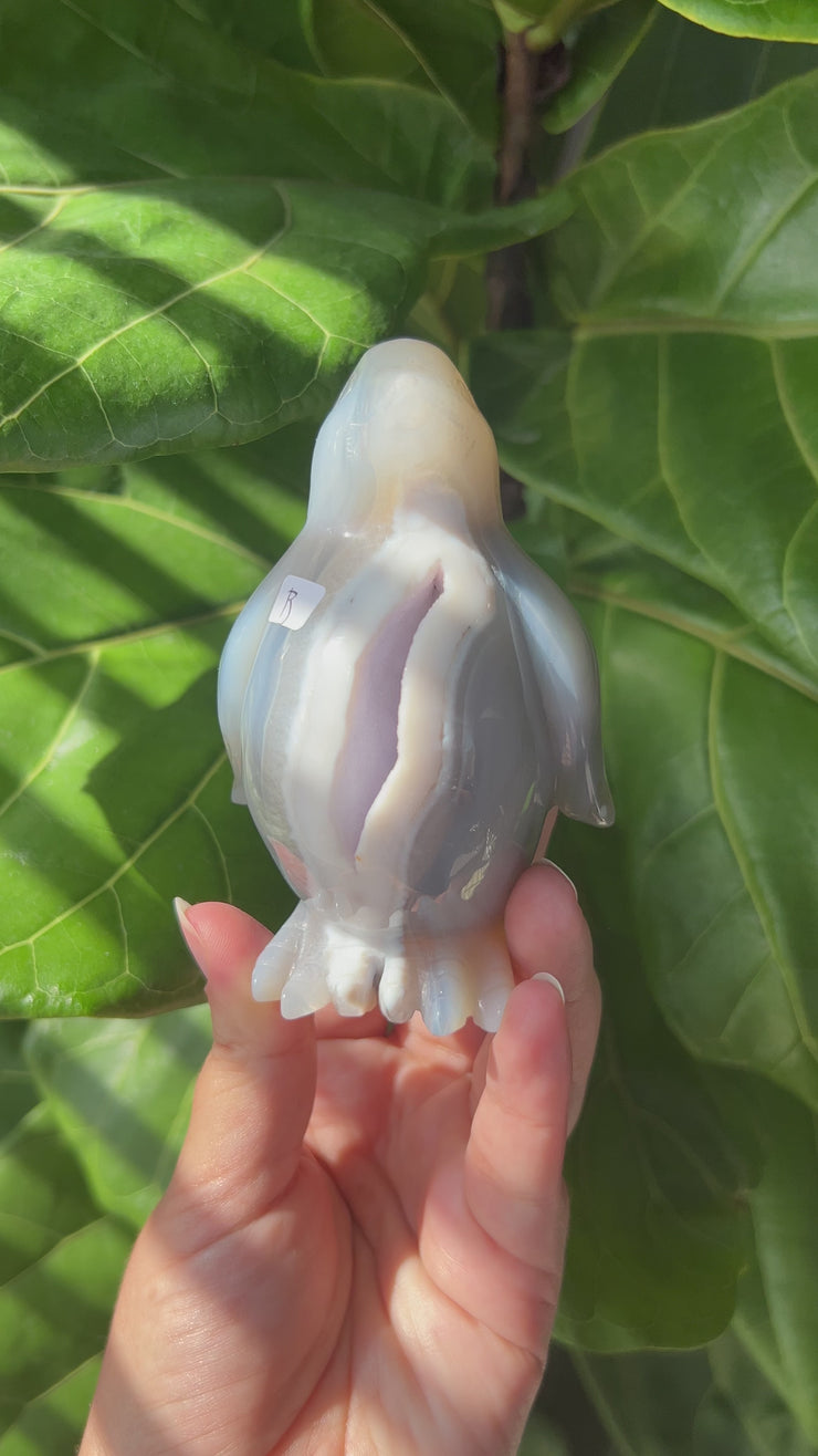Druzy Agate Penguin