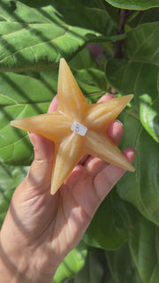 Orange Calcite Starfish