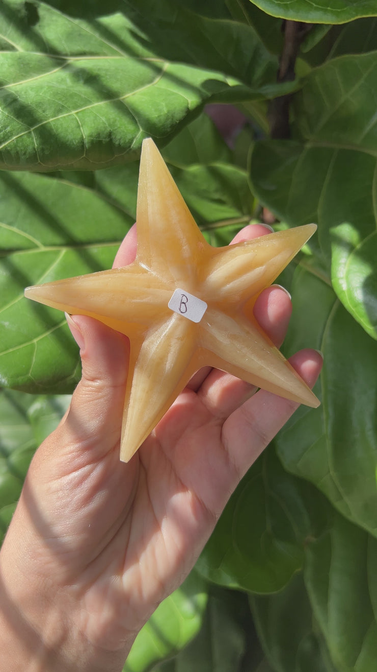 Orange Calcite Starfish