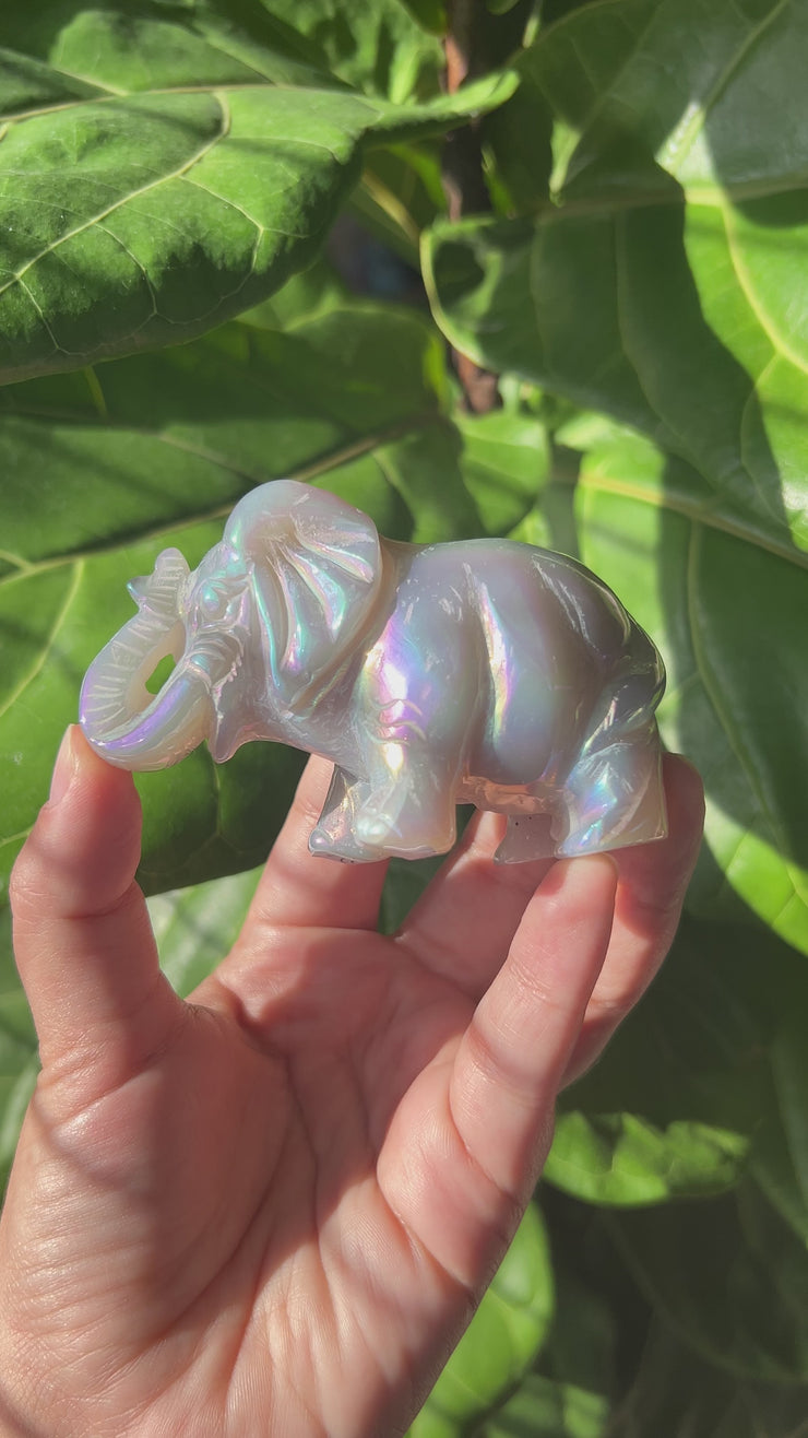 Agate Elephant - Pick Your Own
