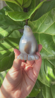 Druzy Agate Penguin