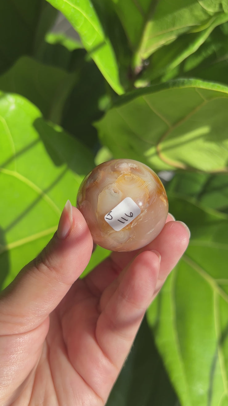 Carnelian Flower Agate Sphere - Pick Your Own