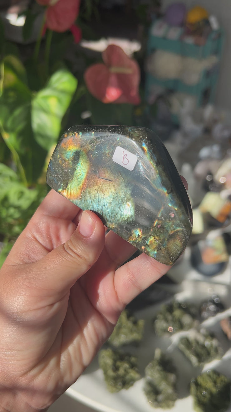 Labradorite Freeform - Pick Your Own