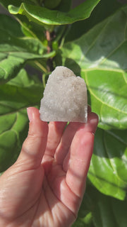 Rainbow Amethyst Mini Freeform