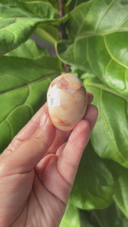 Carnelian Palmstone - Pick Your Own