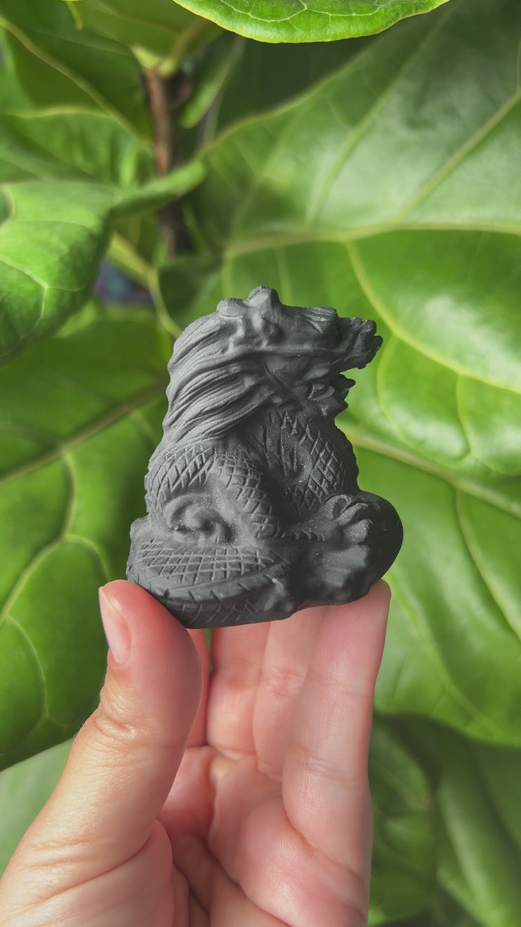 Obsidian Carving - Pick Your Own