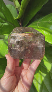Smoky Garden Quartz with Mica and Rutile