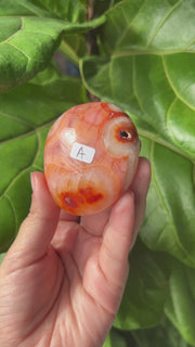 Carnelian Palmstone - Pick Your Own