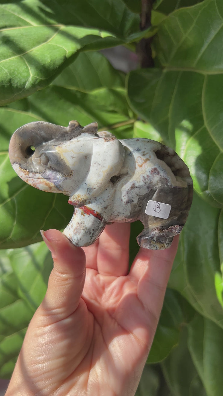 Crazy Lace Agate Elephant - Pick Your Own