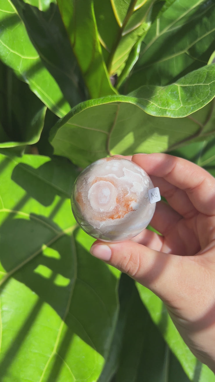 Flower Agate x Pink Amethyst Sphere - Pick Your Own