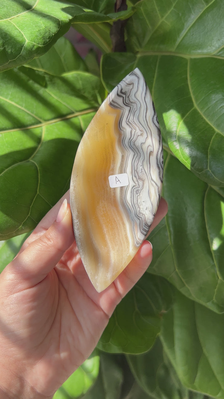 Zebra Jasper Oval Bowl