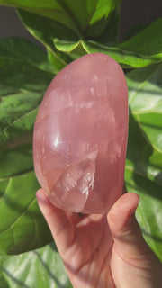 Rose Quartz Freeform