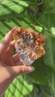 Barite with Cerusite and Galena - Pick Your Own