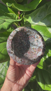 Ocean Jasper Bowl