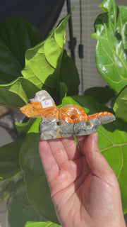 Bumblebee Jasper Dragon - Pick Your Own