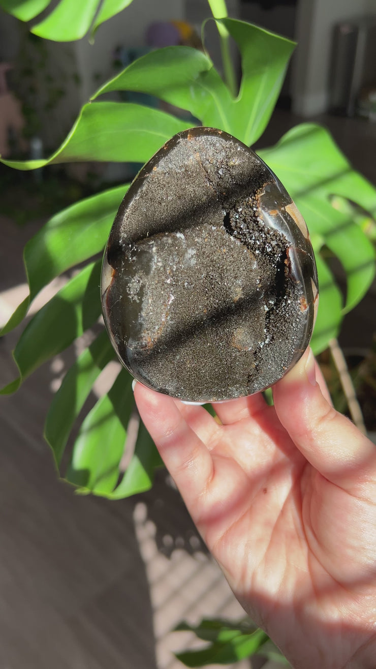 Druzy Septarian Egg