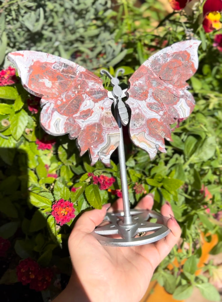 Crazy Lace Agate Butterfly Wing Pair